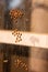 A cluster of insect eggs can be seen on the surface of a residential window in India