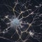 a cluster of neuron floats and branches out with axons and dendrites of cells in the brain\\\'s outer layers.