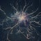 a cluster of neuron floats and branches out with axons and dendrites of cells in the brain\\\'s outer layers.