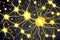 a cluster of neuron floats and branches out with axons and dendrites of cells in the brain\\\'s outer layers.