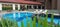 Cluster Prima Condominium Graha Family Surabaya adult swimming pool luxurious design daytime sunny water