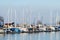 Cluster of sailboats lined up at the docks in a tranquil waterfront setting