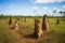 cluster of termite mounds of varying sizes