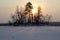 Cluster of trees hiding the autumn sun near â€‹â€‹Savonlinna Finland