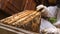 Cluster of worker honeybees on a wooden hive frame, macro shot