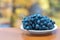 Clusters of edible juicy blue grapes are placed on a plate on a wooden table.