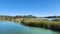 Clusters of the reeds in Eskibaraj Dam lake in Seyhan, Adana