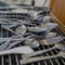 Cluttered array of forks and spoons on mesh rack.