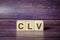 clv - Customer Lifetime Value - text as a symbol on cube wooden blocks