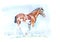 Clydesdale horse watercolor painting