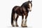 Clydesdale Horse On White Background. Generative AI