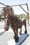 Clydesdale Sculpture at Kapunda Copper Mine, by Joel Zimmermann