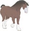 Clydesdale Standing Illustration
