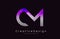 CM Letter Logo Design. Purple Texture Creative Icon Modern Letters Vector Logo.