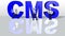 Cms content management system