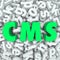 CMS Content Management System 3d Letters Word Acronym