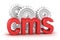CMS : content management system concept