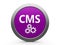 CMS icon