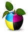 CMYK Apple