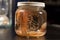 cnidarian in jar, with view of its tentacles and stinging cells visible