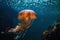 cnidarian in jellyfish aquarium, with view of underwater landscape