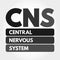 CNS - Central Nervous System acronym concept