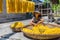 CO CHAT SILK VILLAGE, NAMDINH,VIETNAM - JUNE 15, 2014 - An unidentified woman drying cocoons under sunlight.