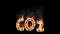 CO2 emissions, ecology concept. CO2 text in fire on black background. Flames of fire going out from letters. 3D Rendering