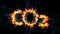 CO2 emissions, ecology concept. CO2 text in fire on black background. Flames of fire going out from letters. 3D Rendering