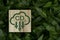 CO2 reducing icon print screen on wooden cube and green grass for decrease CO2 , carbon footprint and carbon credit to limit