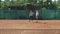 Coach girl teaches tennis player to hold racket and serve