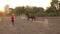 Coach teaches the horse to run at the racetrack.