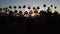 The Coachella Valley Festival with sunset and the big wheel with an open backdrop of palm trees