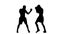 Coaching left hand blows. Silhouette of boxers