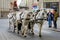 Coachman gives a guided tour in the center of Vienna, Austria.