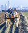 Coachman with horse coach and the skyline of Frankfurt