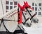 Coachman horses pair carriage ride at a winter snow street