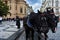 The coachman keeps black horses on the main square in Prague