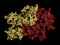 Coagulation factor VIII (fVIII) protein, 3D rendering. Deficiency causes hemophilia A. Cartoon representation combined with semi-
