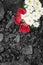 Coal background red roses and daisies