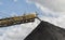 Coal conveyor machinery stacking the coal in piles