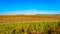 Coal fired powerstation in the middle of the wide open farmland, along the R39 in the Vaal River region of southern Mpumalanga