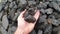 coal, fuel for heating and energy production, black coal in large chunks, environmentally harmful fuel