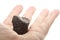 Coal lump carbon nugget in male hand isolated