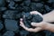Coal mining hands holding sunlit coal stone part