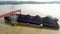 Coal shipping boat transportation industry