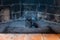 Coal stands in the center of the fireplace against the background of a smoked wall close up