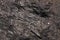 Coal surface