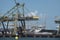 Coal terminal wih big industrial cranes for handling coal transportation on the Maasvlakte