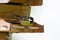 Coal tit, small passerine bird in yellow perching on wooden bird